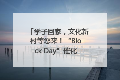 学子回家，文化新村等您来！“Block Day”催化学院式街区新生态